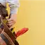 Handyman repair service in San Jose, CA for home fixes and improvements